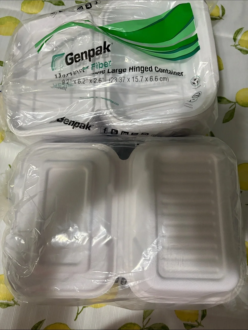 Harvest Fiber Compostable Large Hinged Container - White